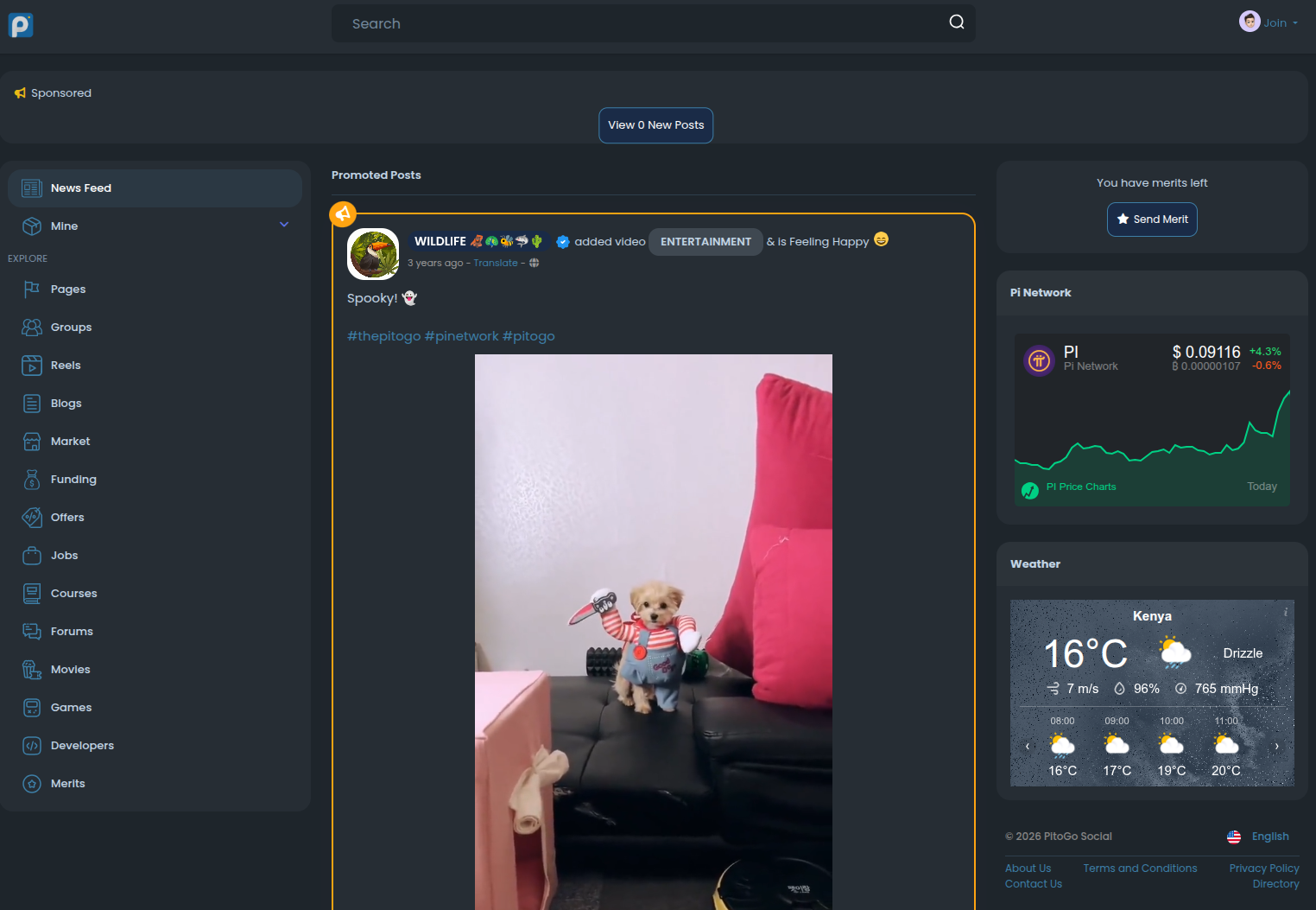Pitogo social feed